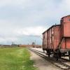 Railway Wagon For Prisoners Auschwitz
